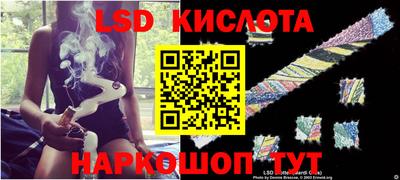 ПСИЛОЦИБИНОВЫЕ ГРИБЫ Можга