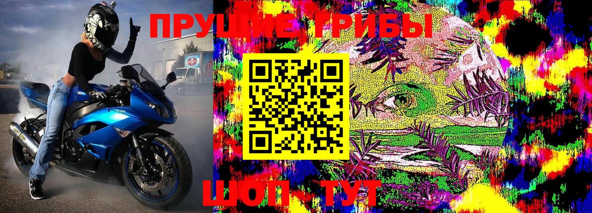 дарнет шоп  Вход с VPN  Галлюциногенные грибы MAGIC MUSHROOMS  Севастополь  Галлюциногенные грибы прущие грибы 